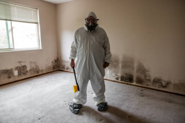 Best Health and Safety Mold Remediation in Colstrip, MT